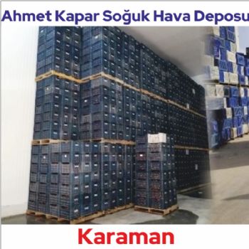 Ahmet Kapar Soğuk Hava Deposu